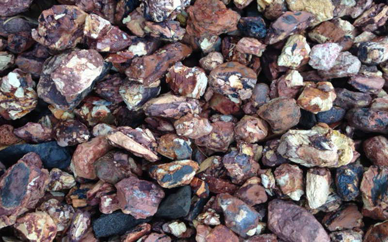 GARDEN CENTER NORTH FORT MYERS