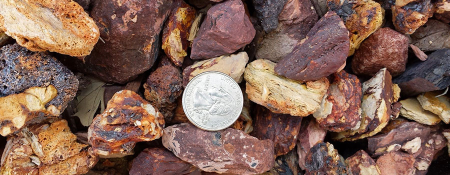 GARDEN CENTER NORTH FORT MYERS