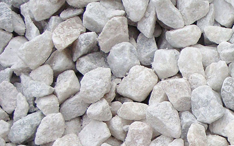 GARDEN CENTER NORTH FORT MYERS