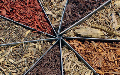 Beltran Nursery & Landscaping