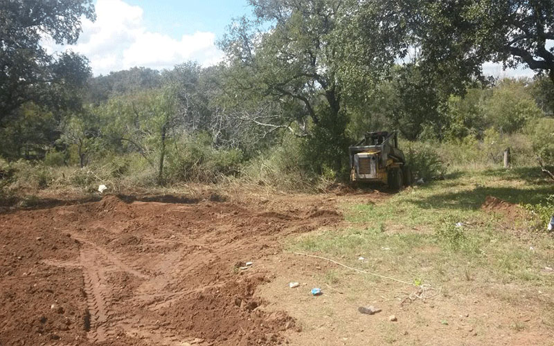 GARDEN CENTER NORTH FORT MYERS