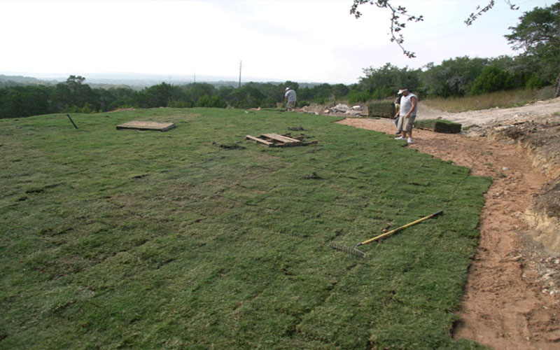 GARDEN CENTER NORTH FORT MYERS