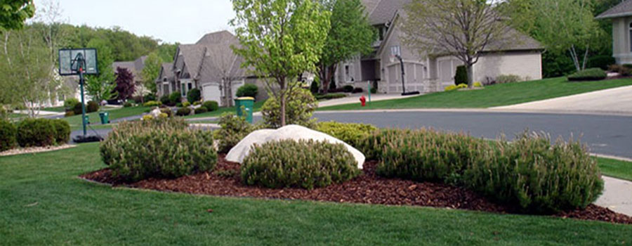 GARDEN CENTER NORTH FORT MYERS