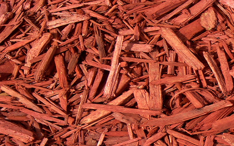 GARDEN CENTER NORTH FORT MYERS