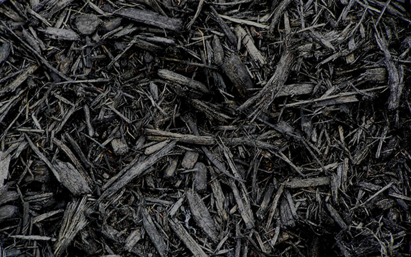 GARDEN CENTER NORTH FORT MYERS