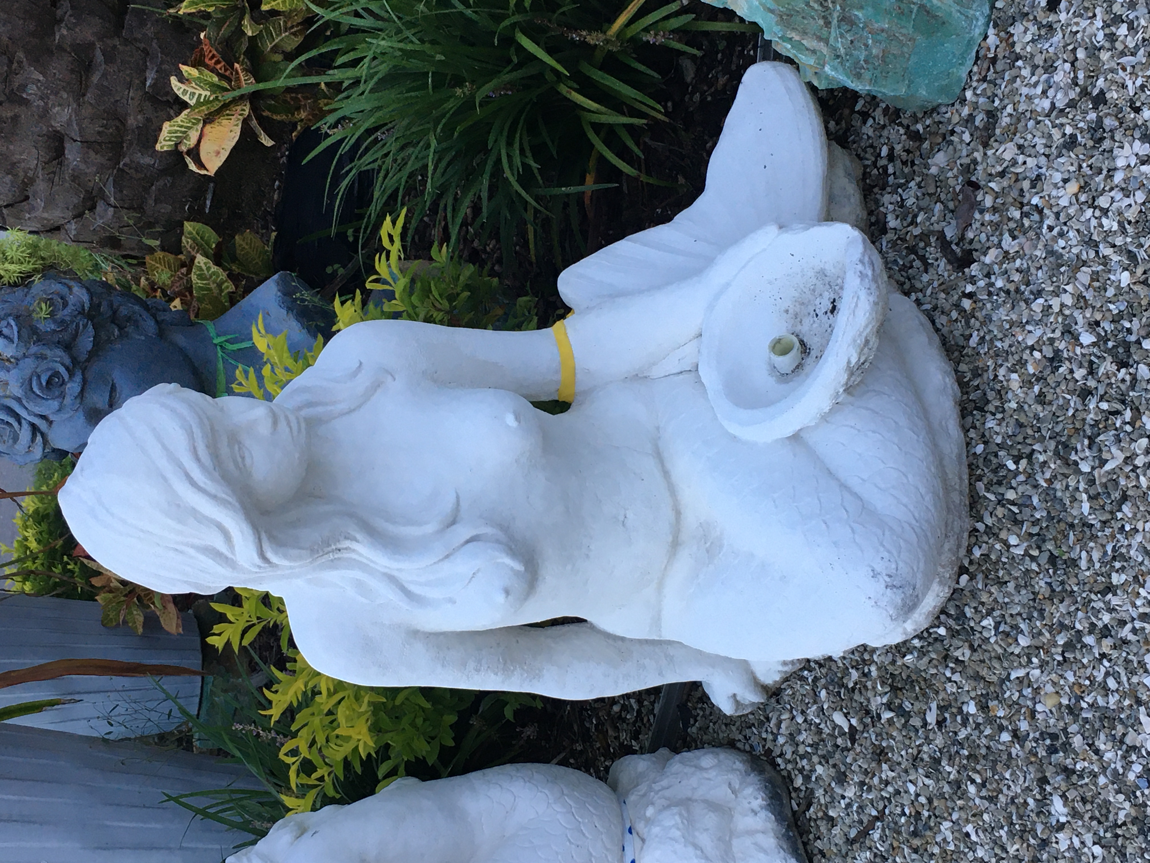 GARDEN CENTER NORTH FORT MYERS