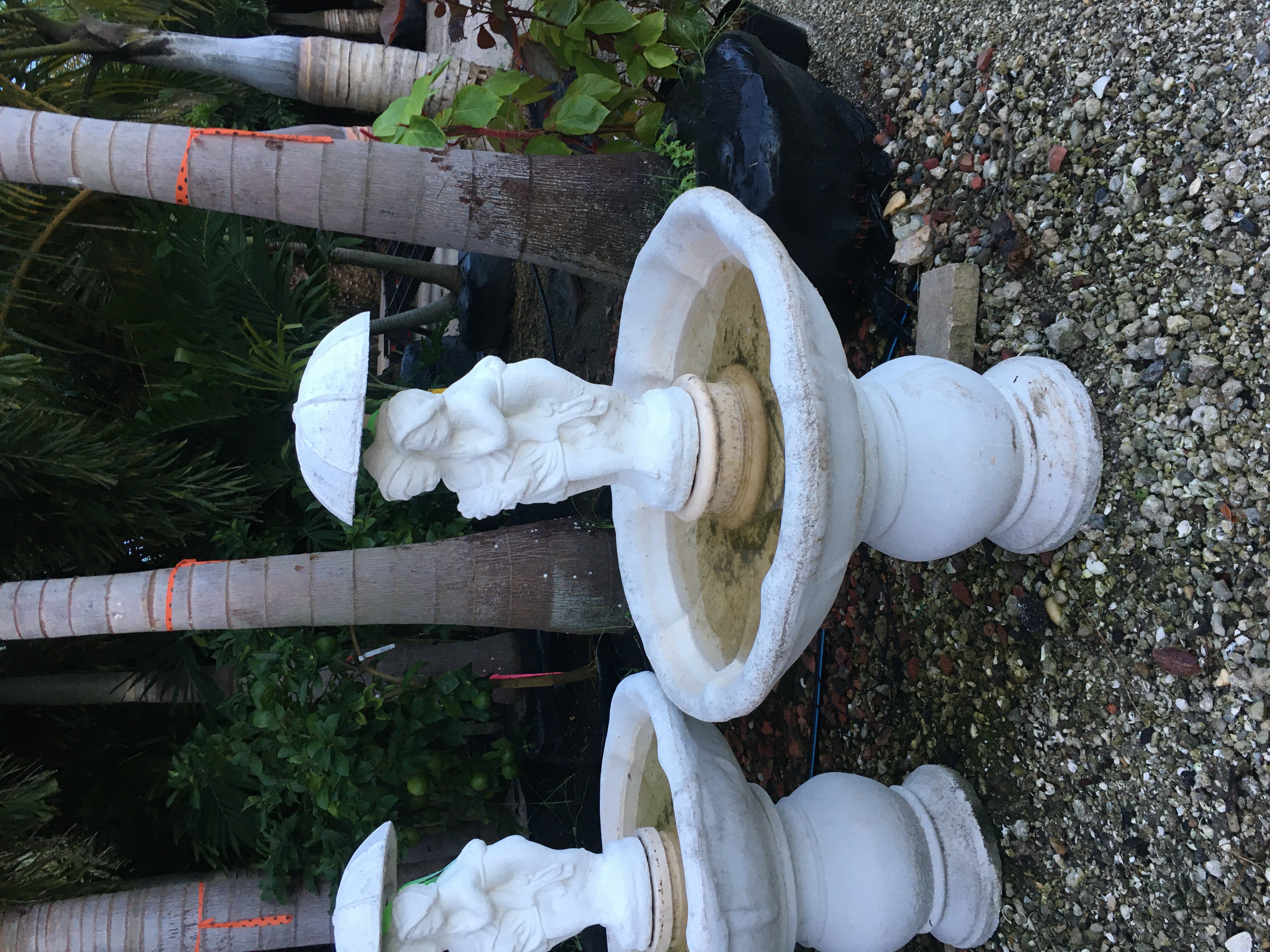 GARDEN CENTER NORTH FORT MYERS