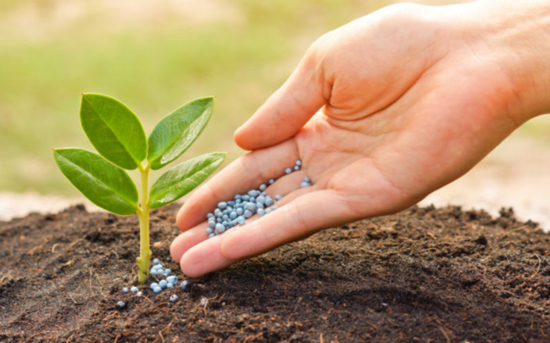 GARDEN CENTER NORTH FORT MYERS