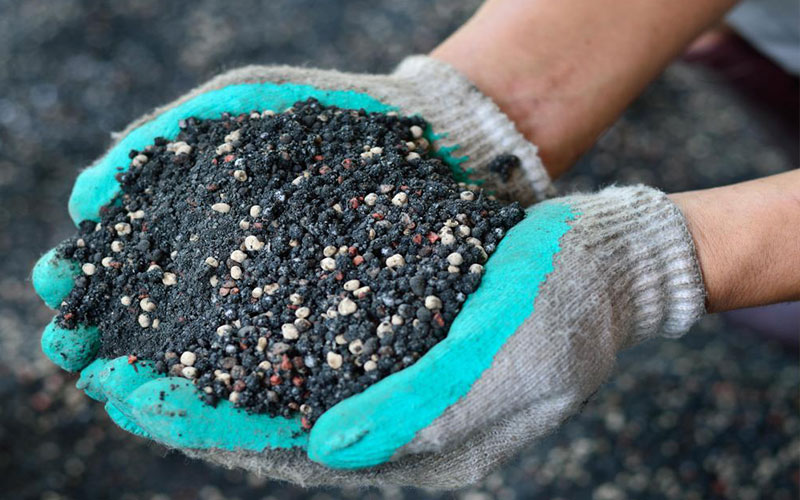 GARDEN CENTER NORTH FORT MYERS