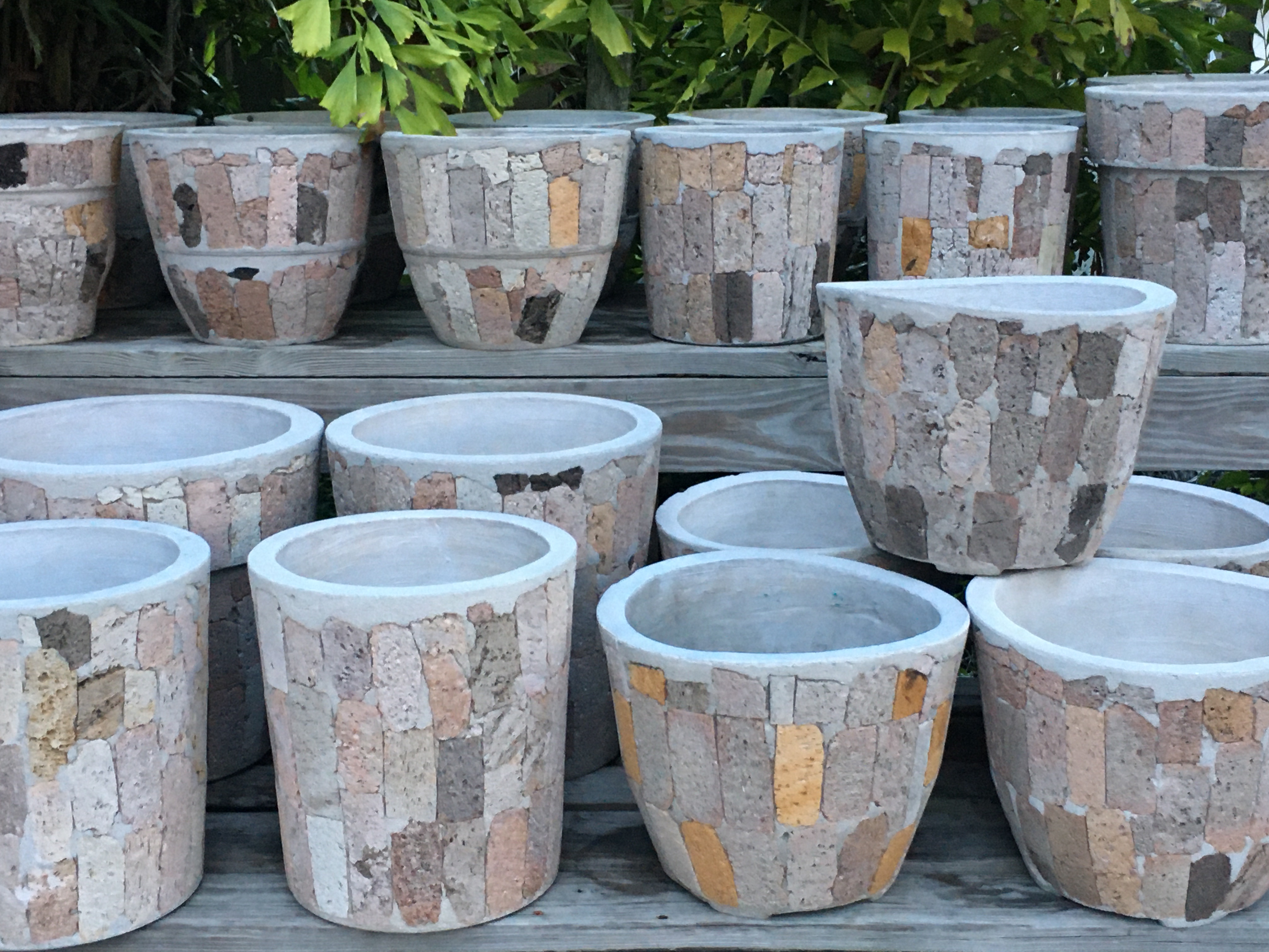 GARDEN CENTER NORTH FORT MYERS